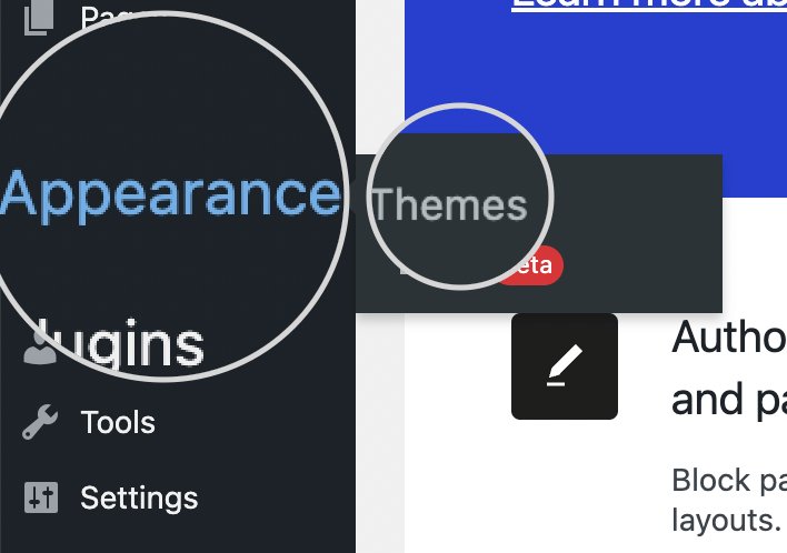Appearance Themes section WordPress