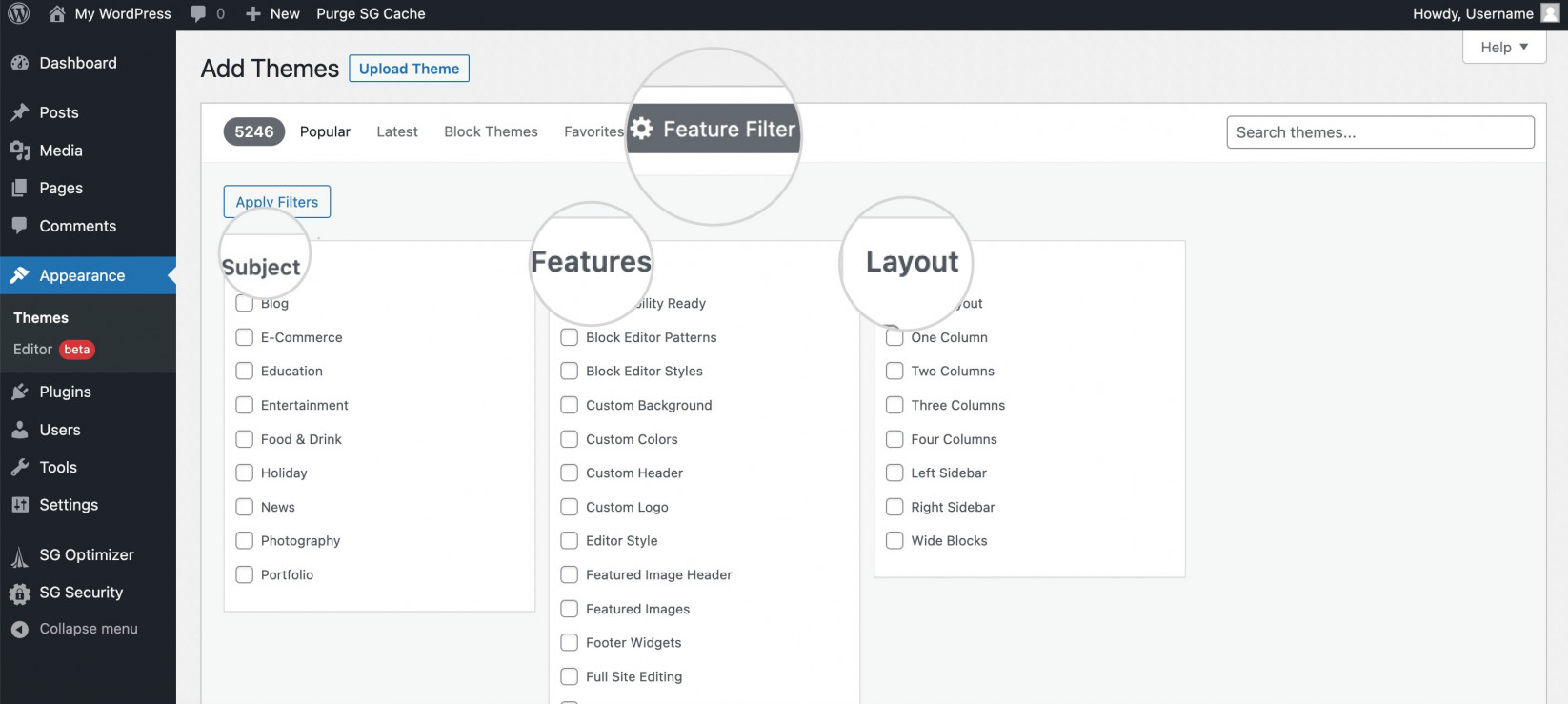 Features filter WordPress