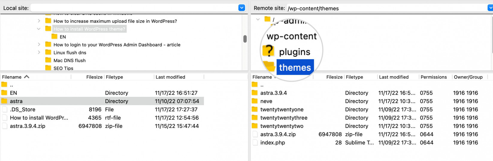 wp-content themes folder