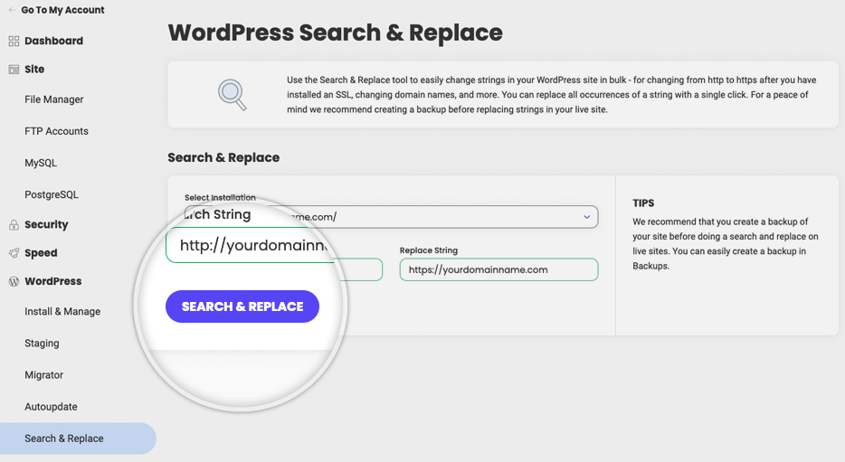Screenshot showing the WordPress Search & Replace functionality in the SiteTools