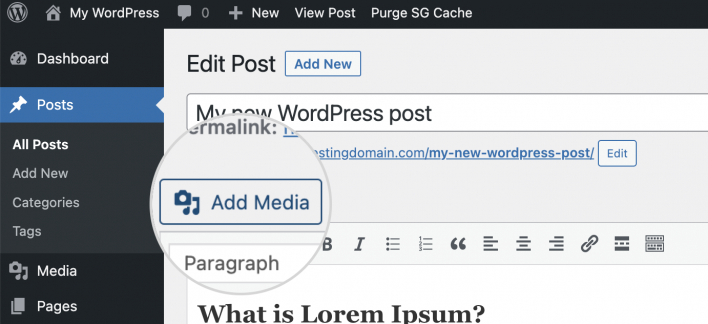 Add media to post in WordPress