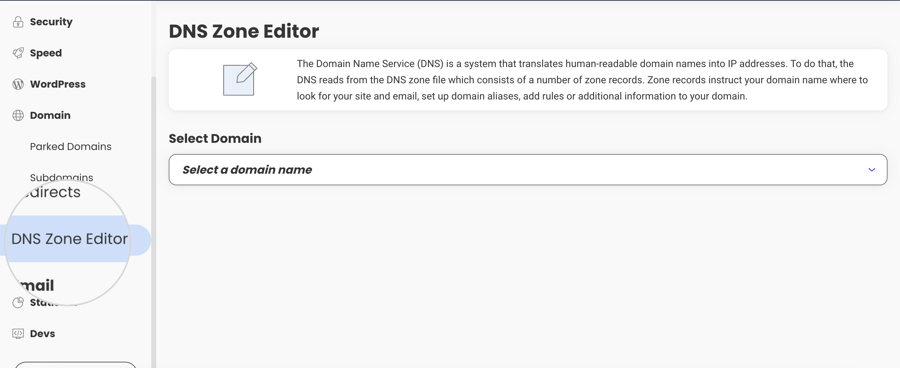 DNS zone editor in Site Tools