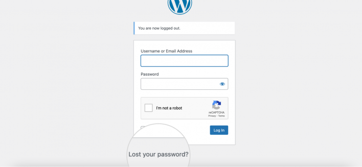 WordPress Admin Login "Lost your Password?"