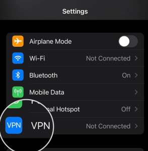 Screenshot of the VPN option in the iPhone General Settings