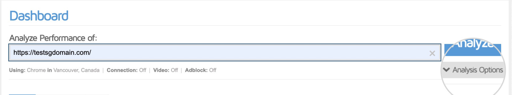 Screenshot of the Analysis options button in GTmetrix