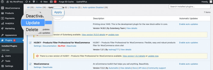 Apply a bulk update on all WordPress plugins