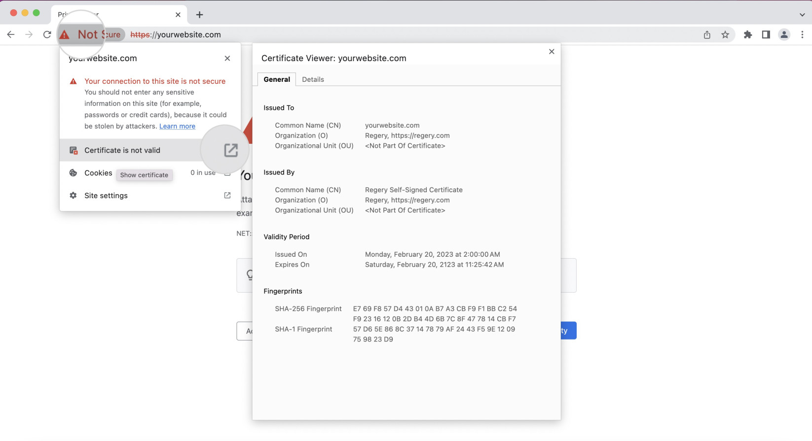 How to view certificate details in a browser