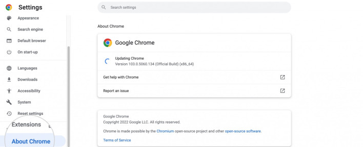 Screenshot of the Chrome updates page