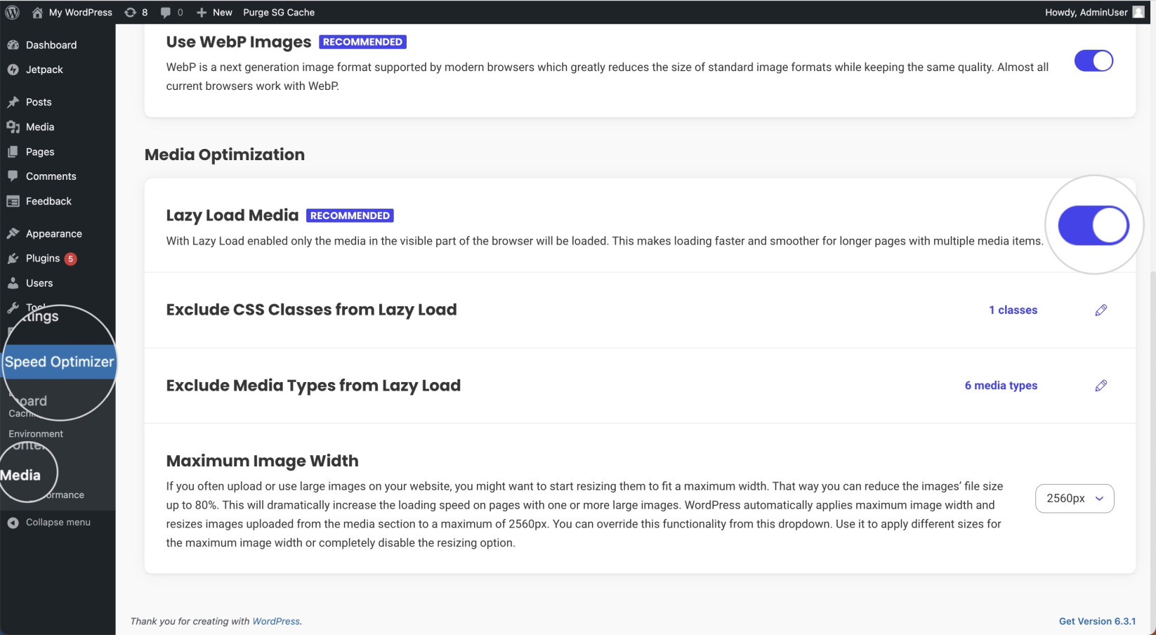 Defer offscreen images by enabling Lazy Load in the Speed Optimizer plugin