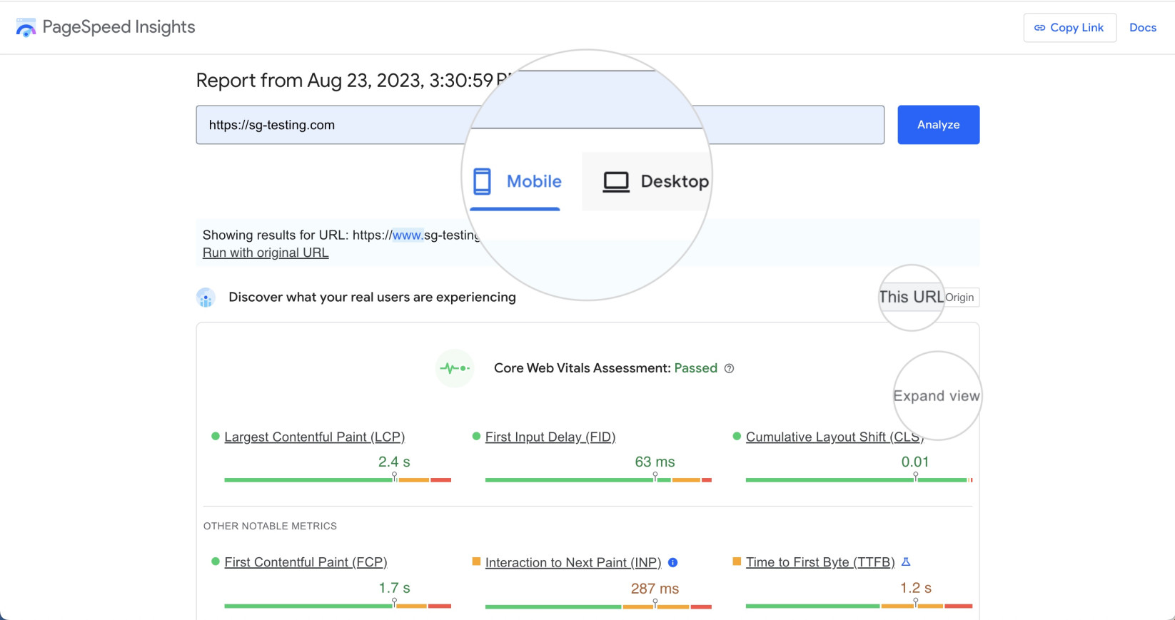 Mobile and Desktop results for a web page in Google PageSpeed Insights