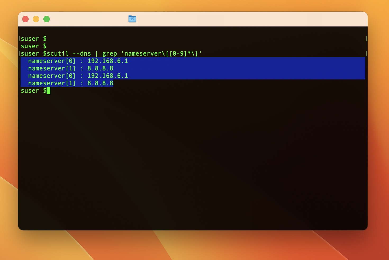 How to find your DNS servers in Terminal on Mac