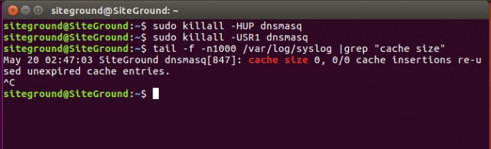 Flush DNS on dnsmasq resolver