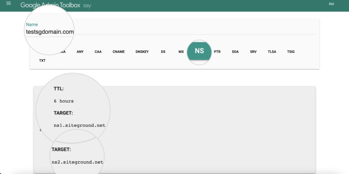 Screenshot of the Google Admin Toolbox showing how to enter a domain and select the type of record to resolve