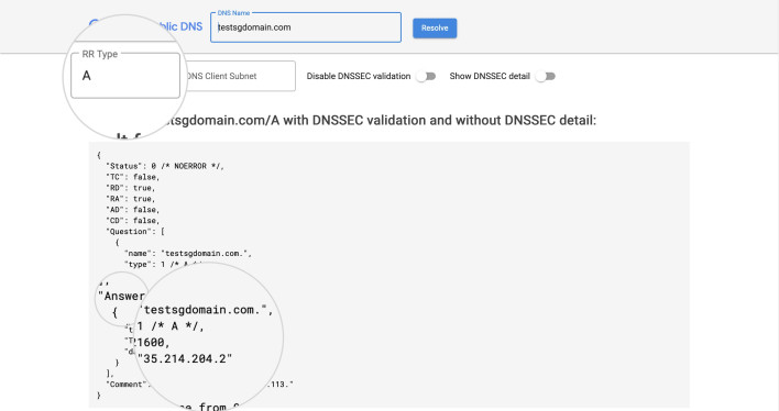 Screenshot of the Google DNS checker result