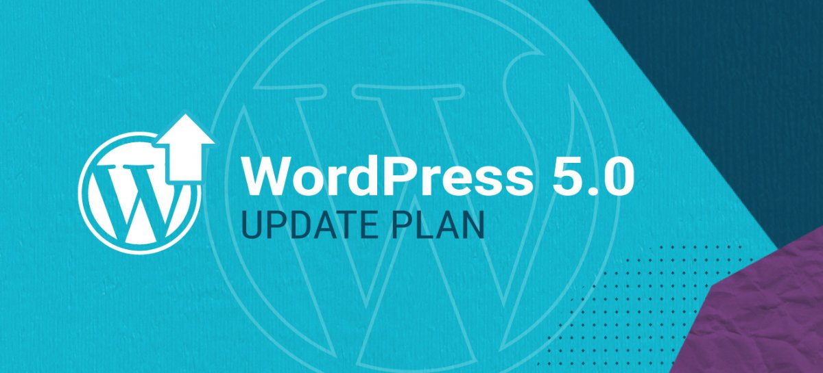 WordPress 5.0 Update Plan