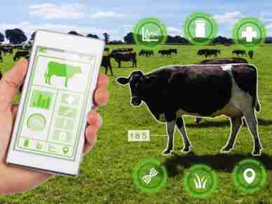 How Farm Management Software is Revolutionizing Agriculture