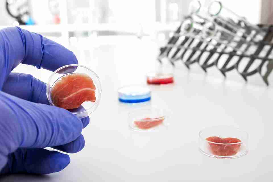 cultured meat, The Culture Clash