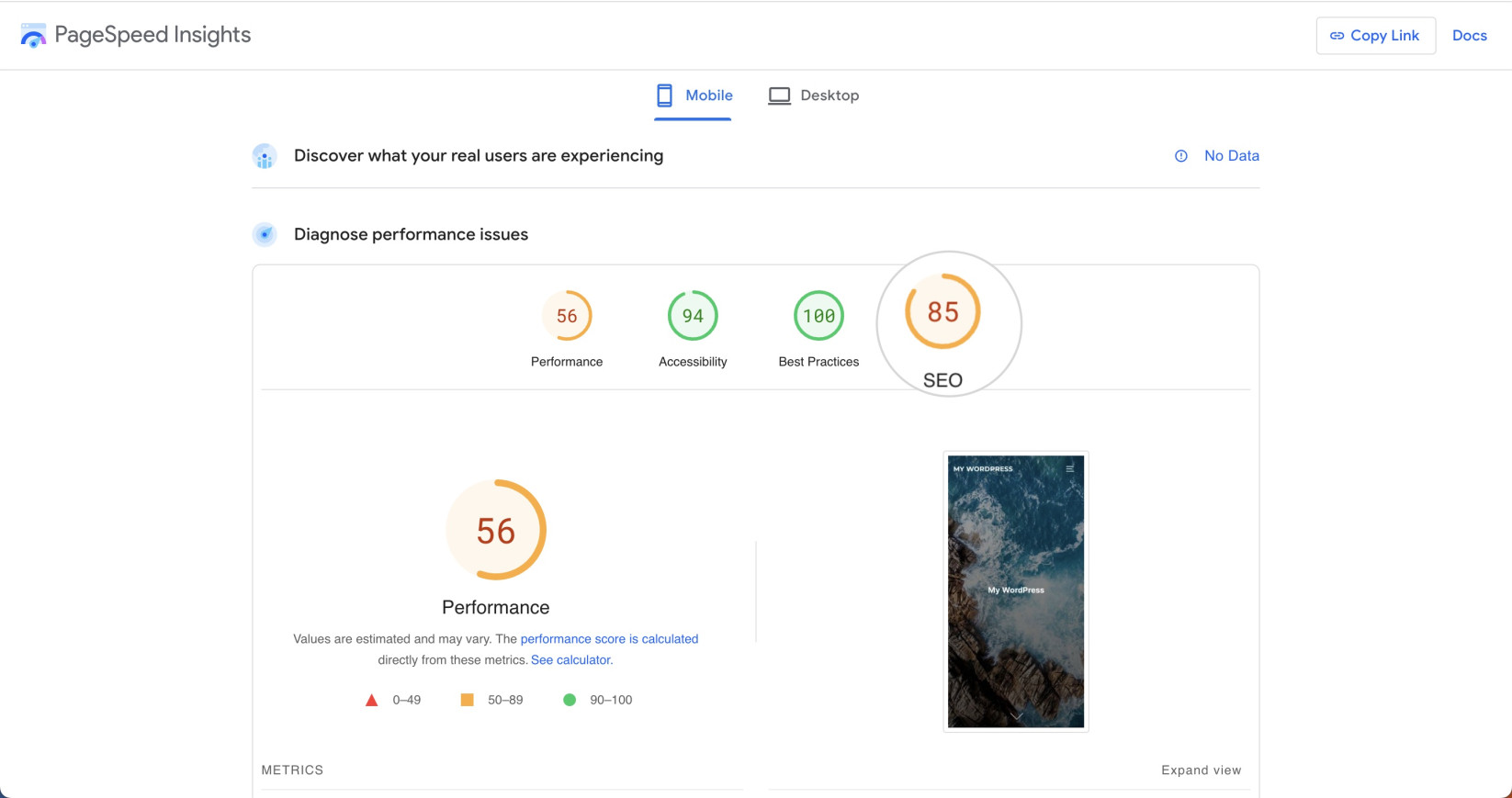 Lighthouse results in Google PageSpeed Insights