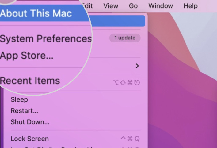 Screenshot of the System Preferences on Mac OS