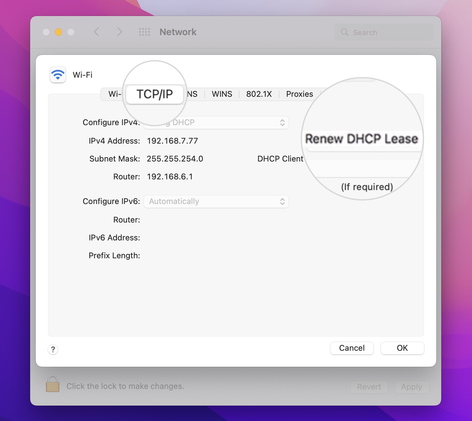 Renew DHCP Lease on macOS