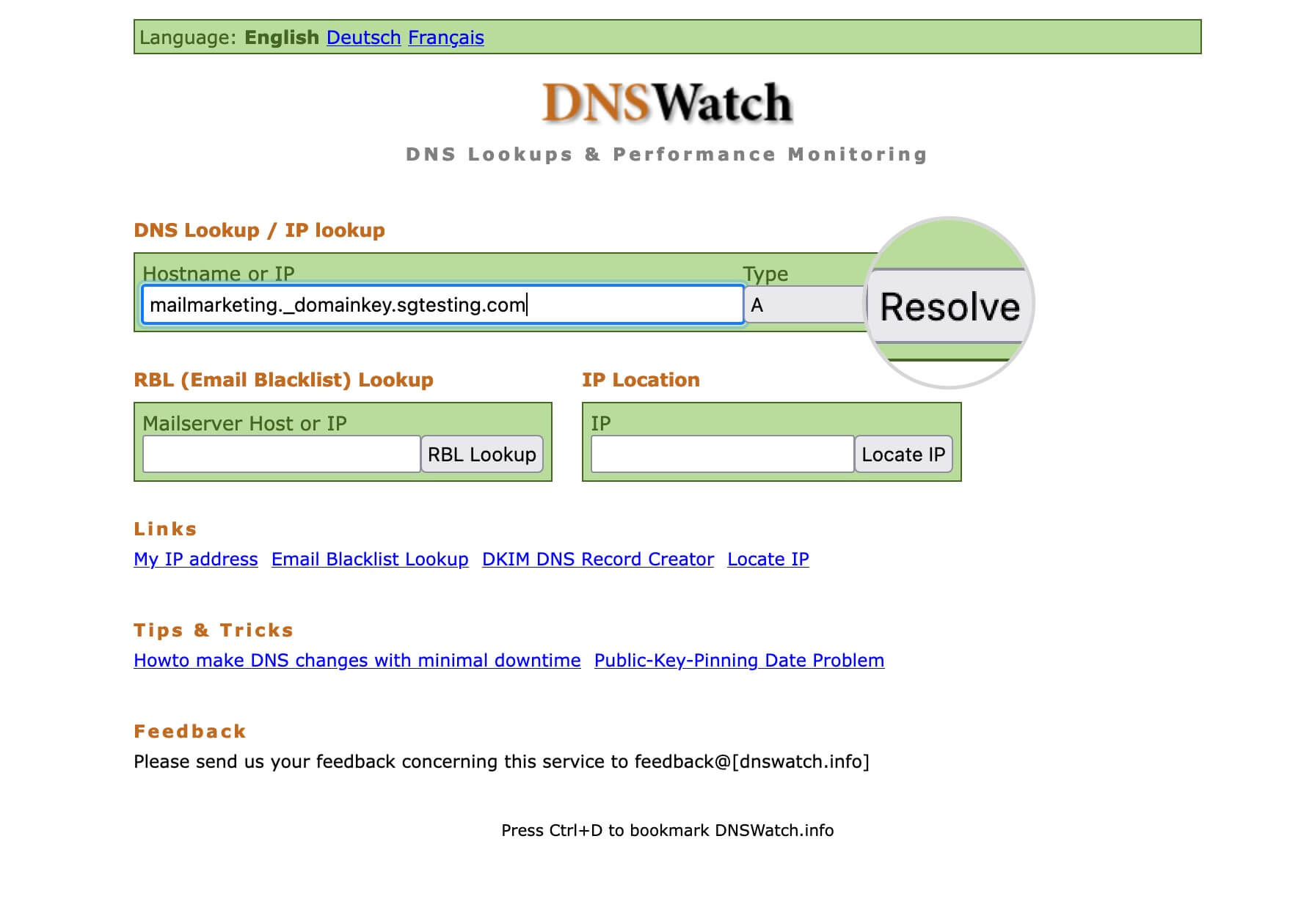 Screenshot showing how to resolve the CNAME in DNSWatch