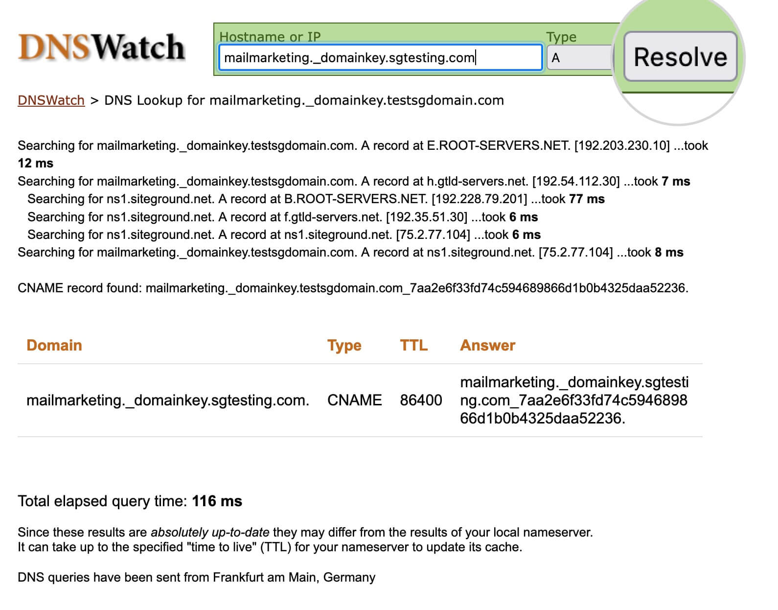 Screenshot showing the resolved CNAME record in DNSWatch