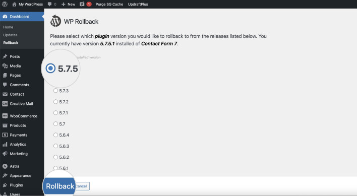 Screenshot of selecting a preferred version to revert to with the WP Rollback plugin