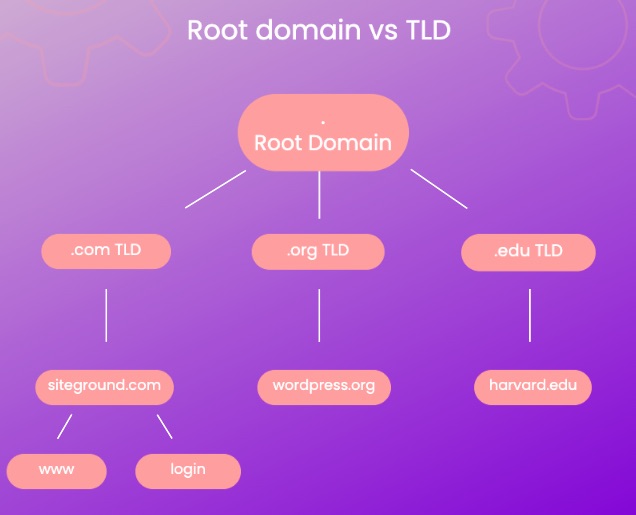 An infographic explaining the difference between a root domain and TLDs