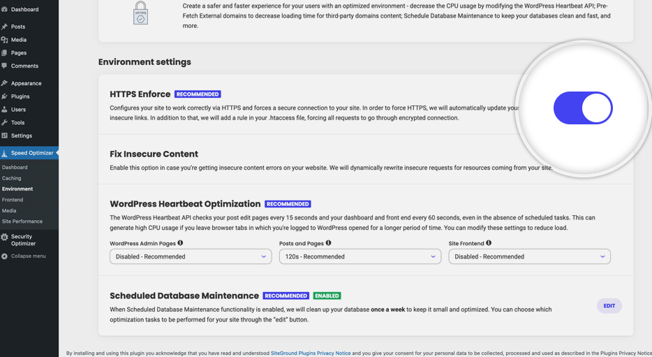 Screenshot of WP admin dashboard in the Speed Optimizer tab in the Environment settings, showing how to activate HTTPS from the HTTPS Enforce option