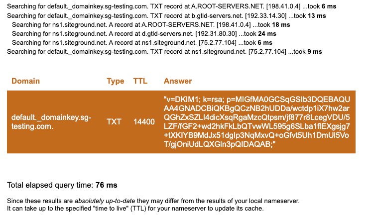 DKIM record appearing in DNS lookup