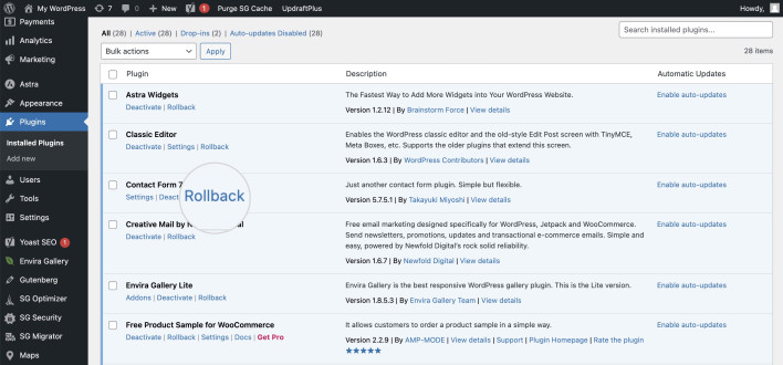 Screenshot on how to revert a plugin update with the WP Rollback plugin