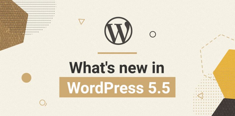 what's new in WordPress 5.5