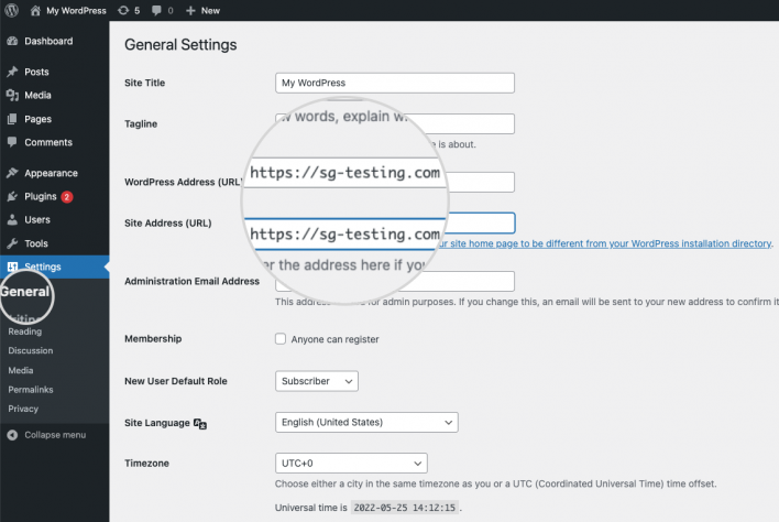 Check and configure the website URL in WordPress