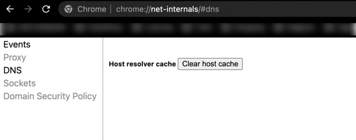 Clear dns cache on Google Chrome