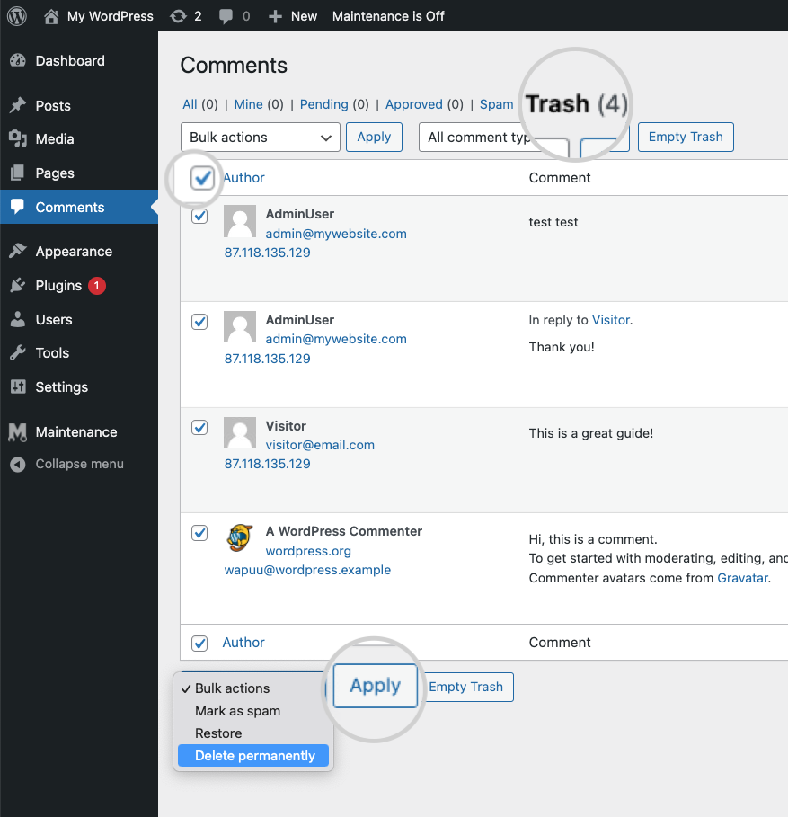How to delete permanently all comments in WordPress