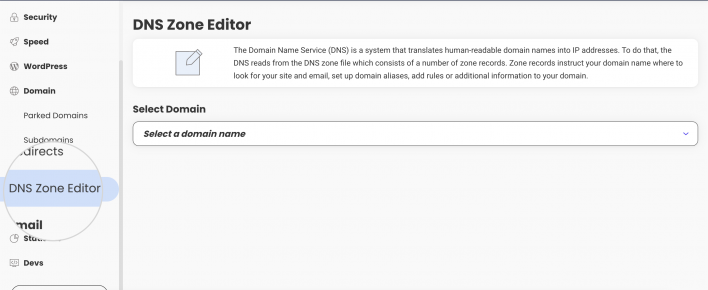 DNS zone editor in Site Tools