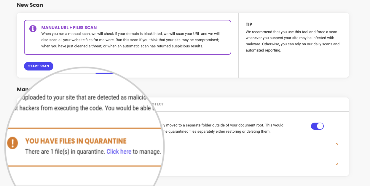 Files in Quarantine in Site Scanner