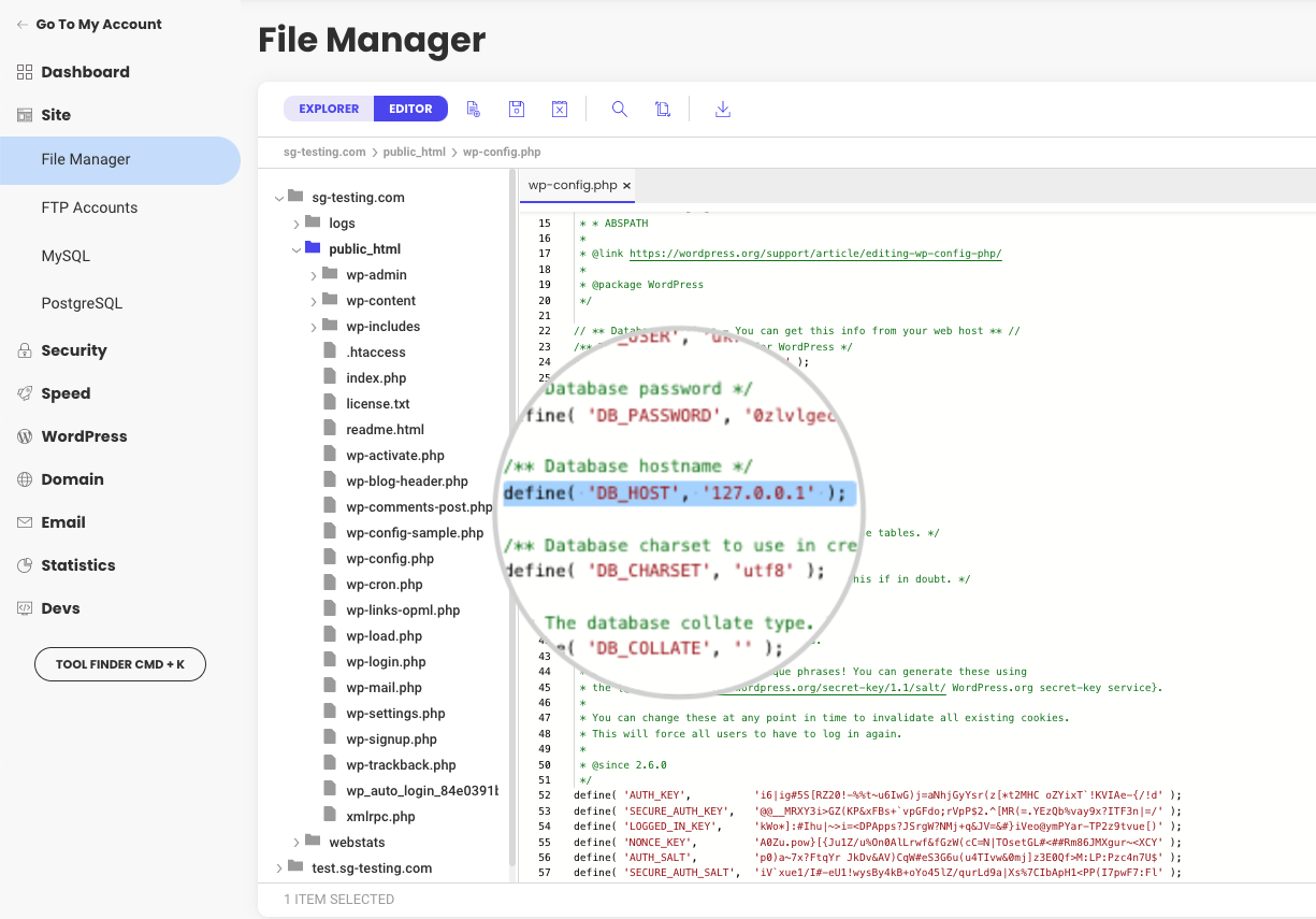 How to see the database host