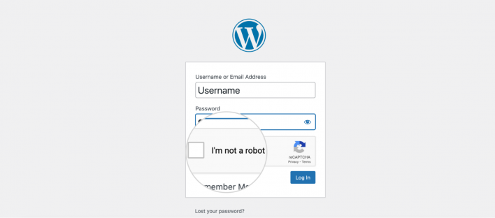 WordPress Admin Login Page Screenshot with highlight on the Captcha