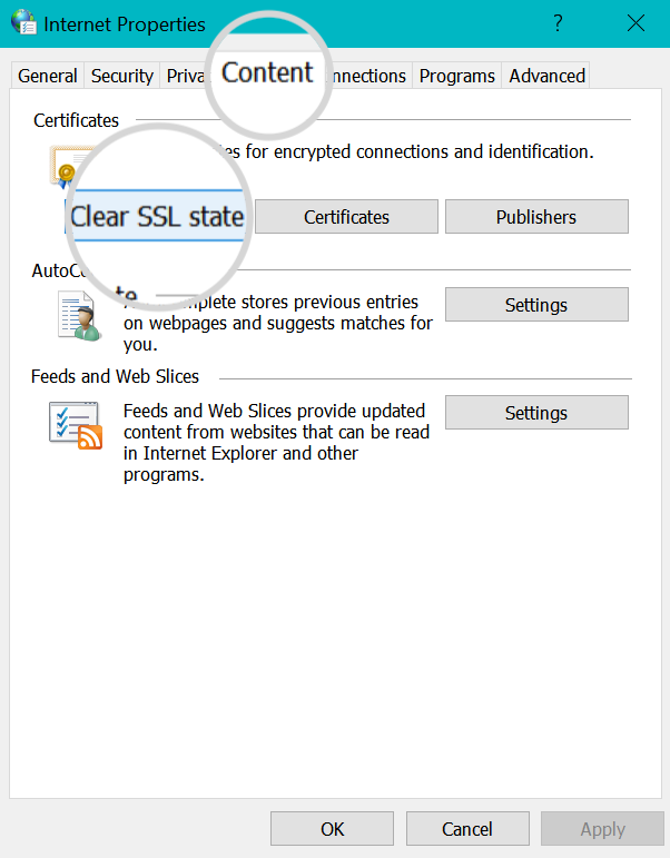 Clear SSL state Windows