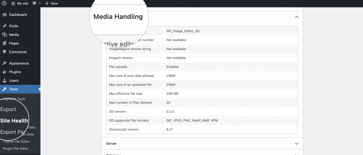 Site Health WP Upload file size